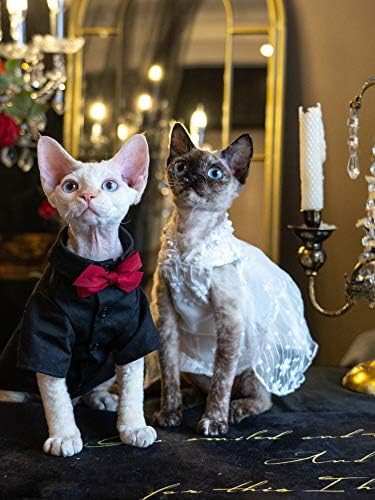 Ochstin odjeća za mačke bez kose, bijela vjenčanica s bisernom čipkastom večernjim haljinama za sfingu, cornish rex, devon rex, peterbald